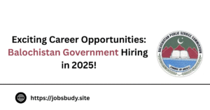 Exciting Career Opportunities: Balochistan Government Hiring in 2025!