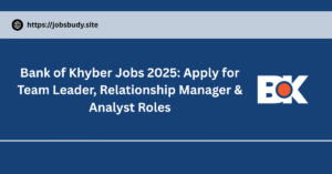 Bank of Khyber Jobs 2025: Apply for Team Leader, Relationship Manager & Analyst Roles